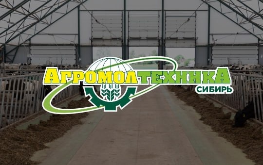 Разработка сайта для  ООО 